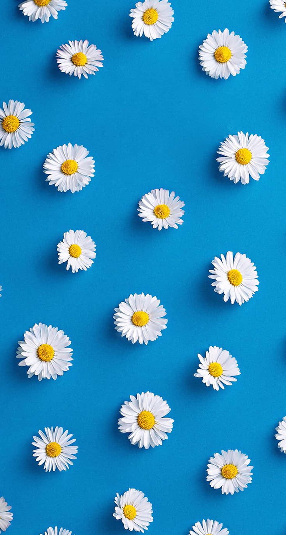 Blue Aesthetic Android Daisies Background