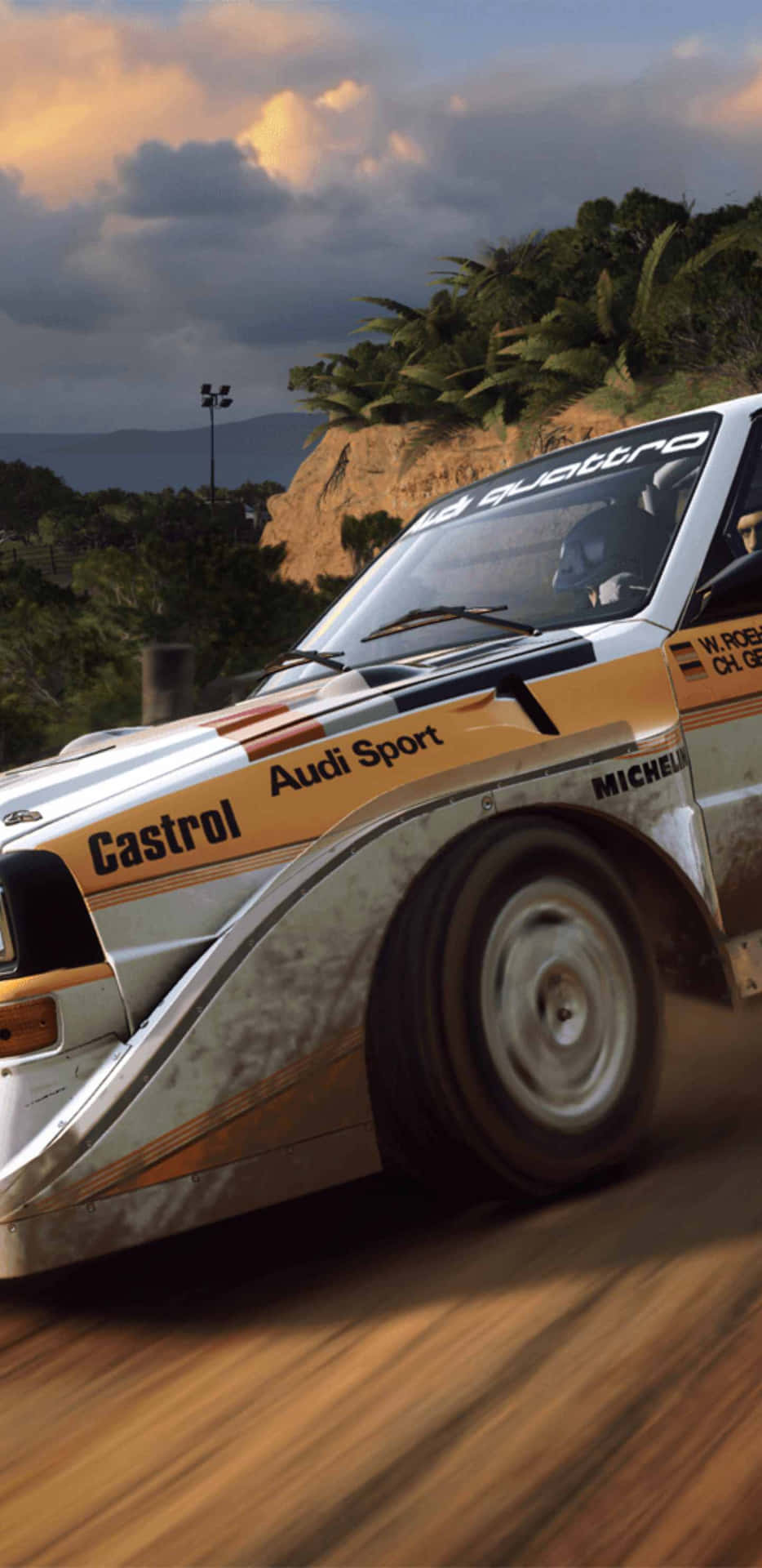 Feel the thrill of driving through dangerous courses with Android Dirt Rally
