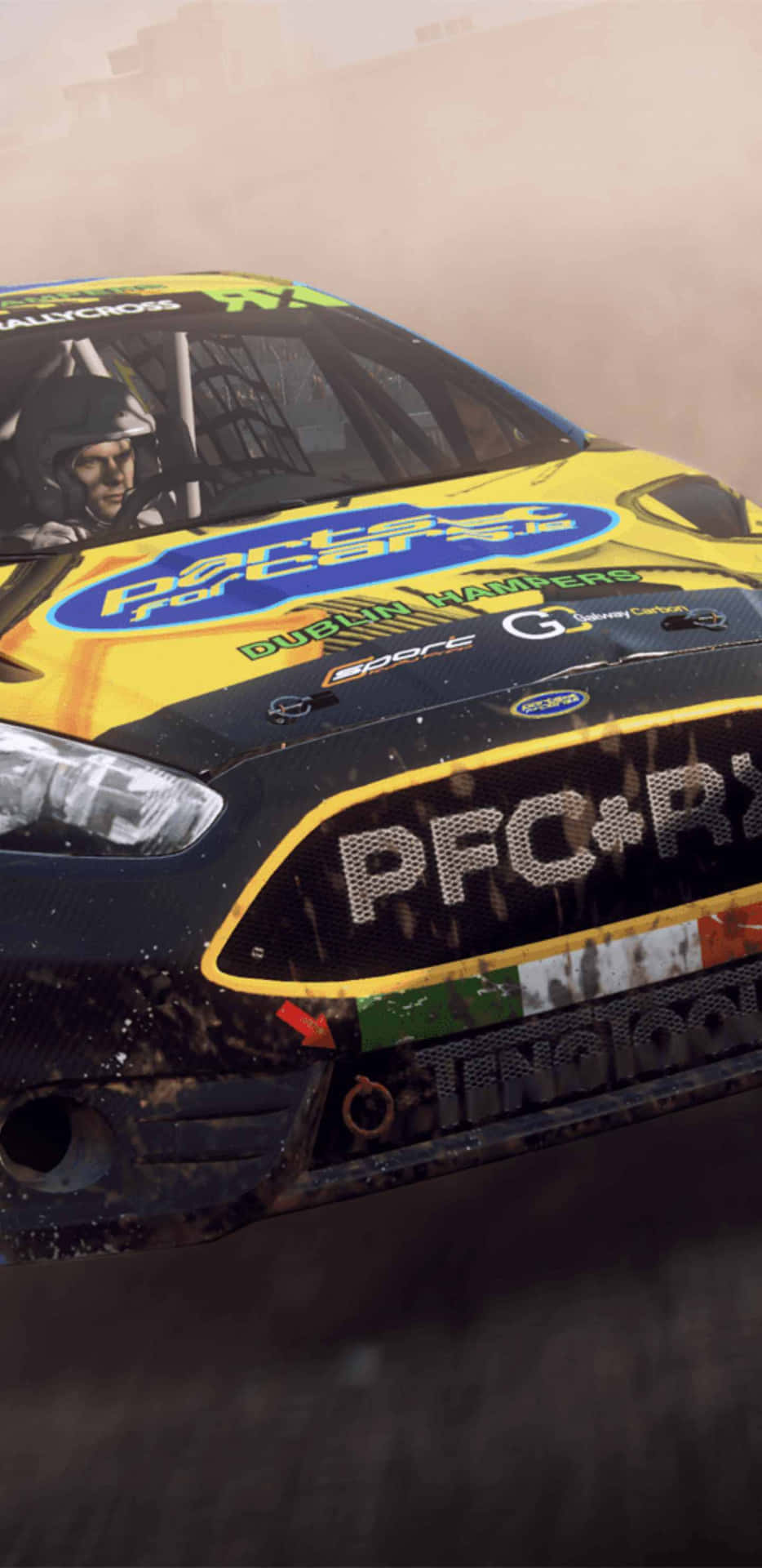 Dirt Rally - Screenshots