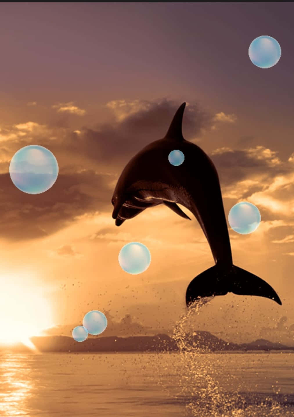 Sunset Dolphin Android Fish Background
