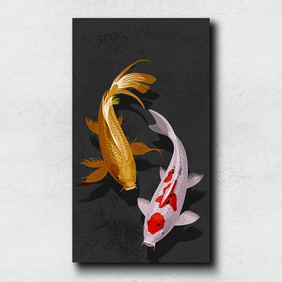 Koi Carp Android Fishes Background