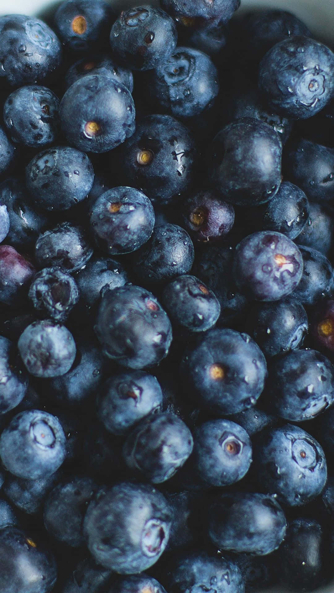 Blueberry In Android Food Background