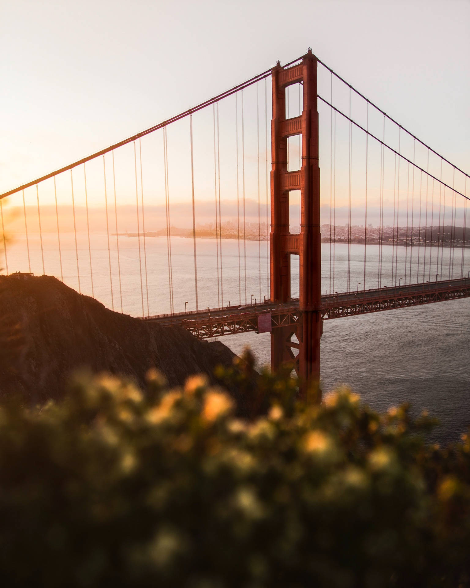 Android Golden Gate Bridge