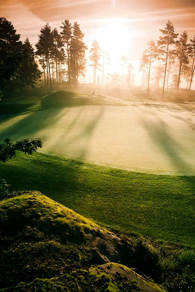 Android Golf Course Background Morning Sun Background