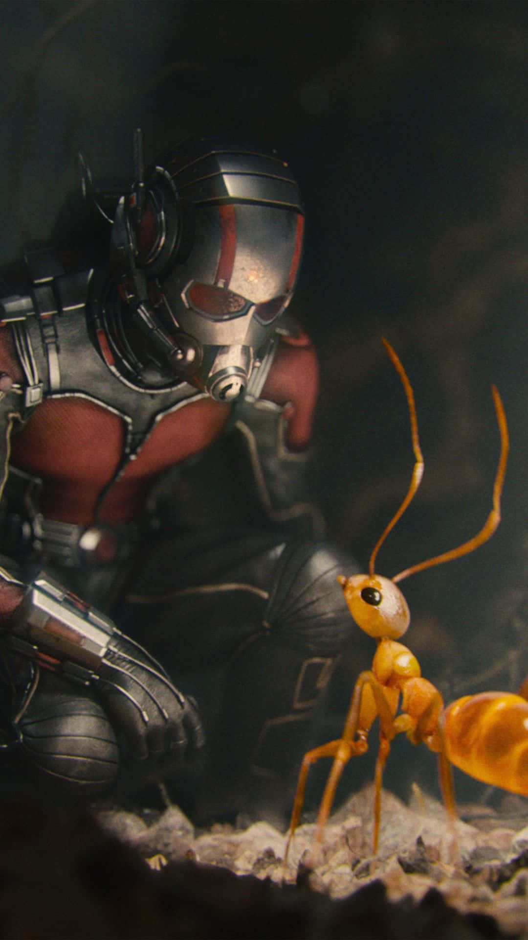 Android Marvel's Avengers Antman With An Ant Background