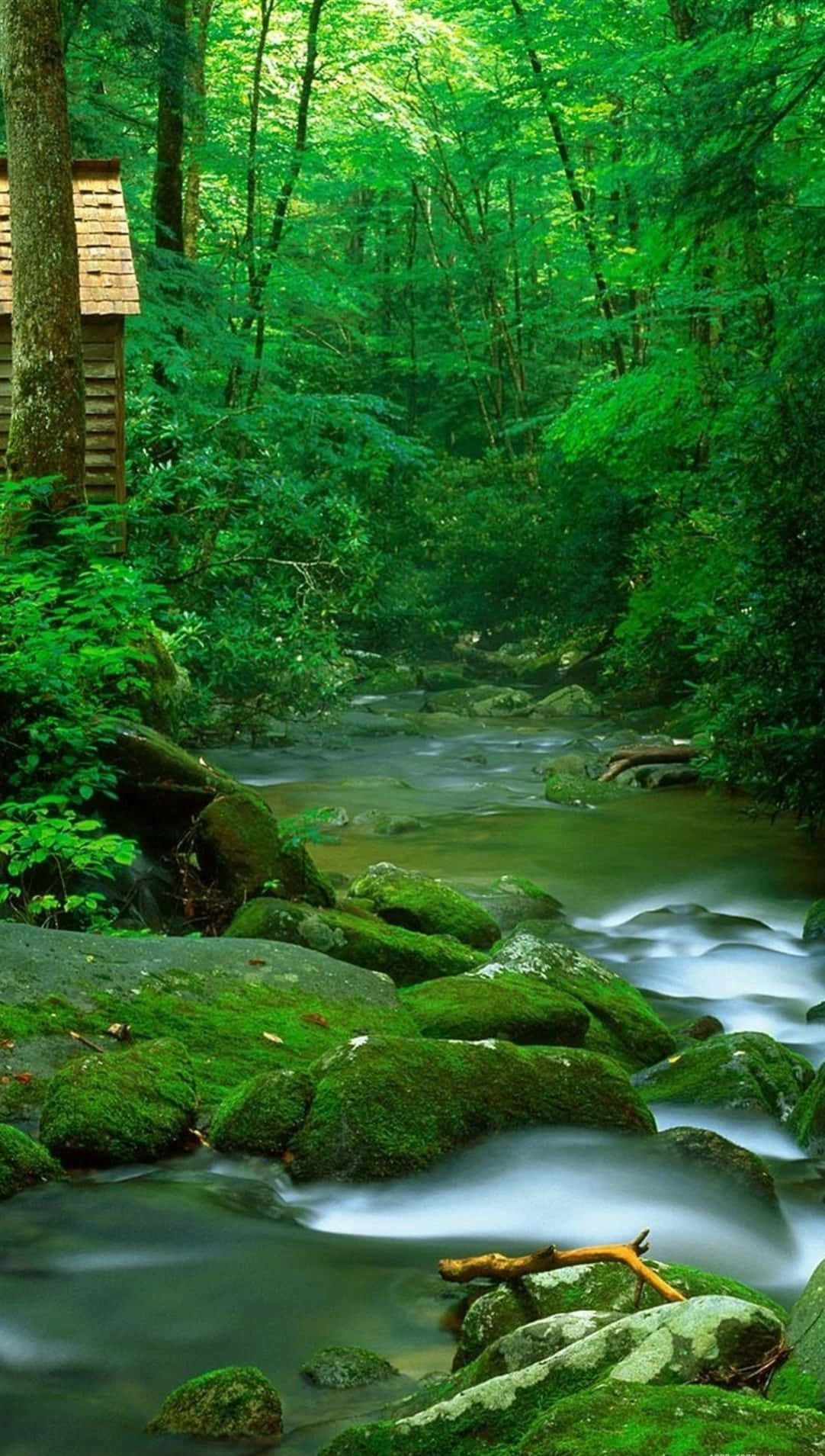 Smoky Stream For Android Nature Wallpaper