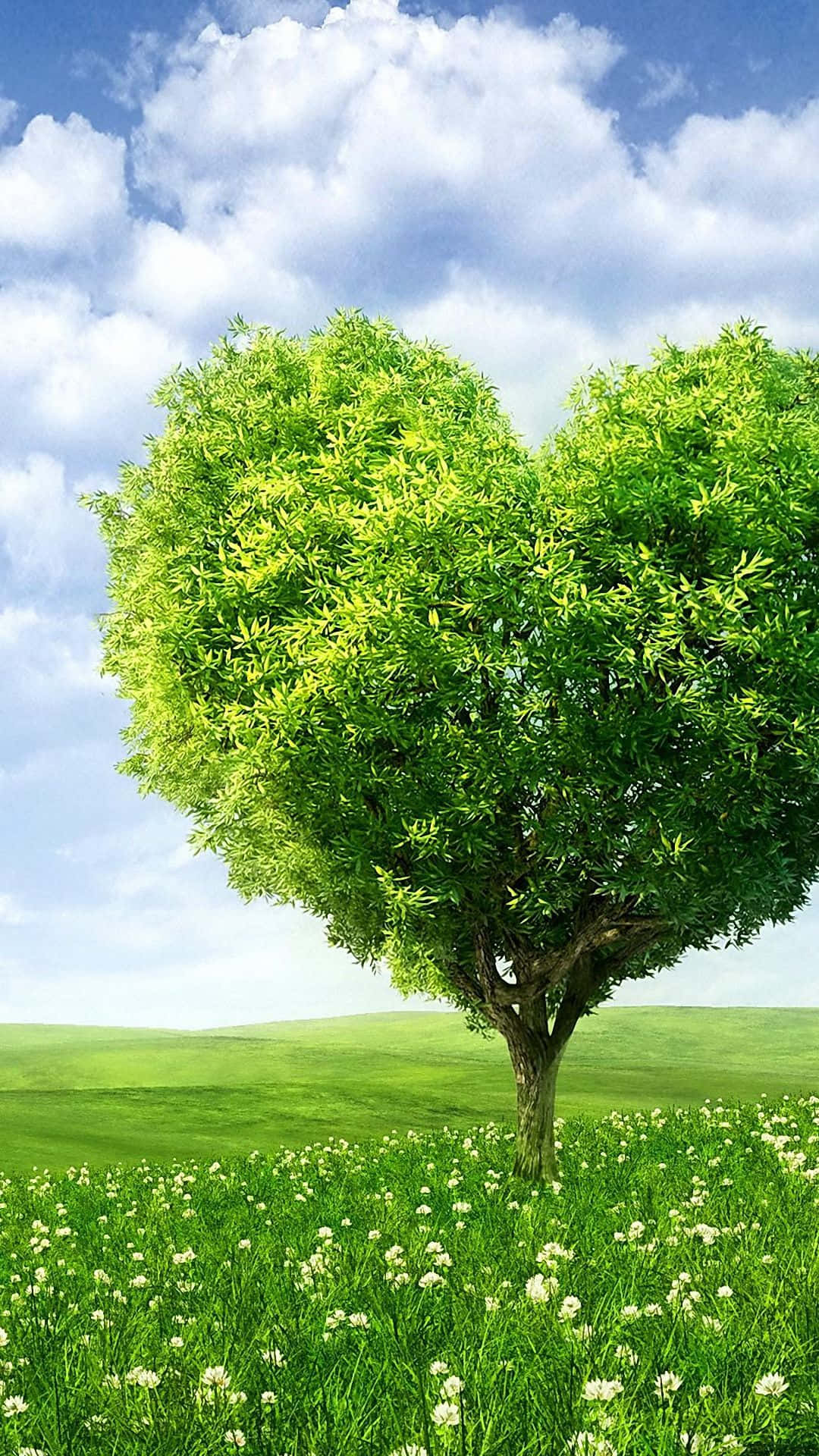 Herzförmigerbaum Für Android In Der Natur Wallpaper