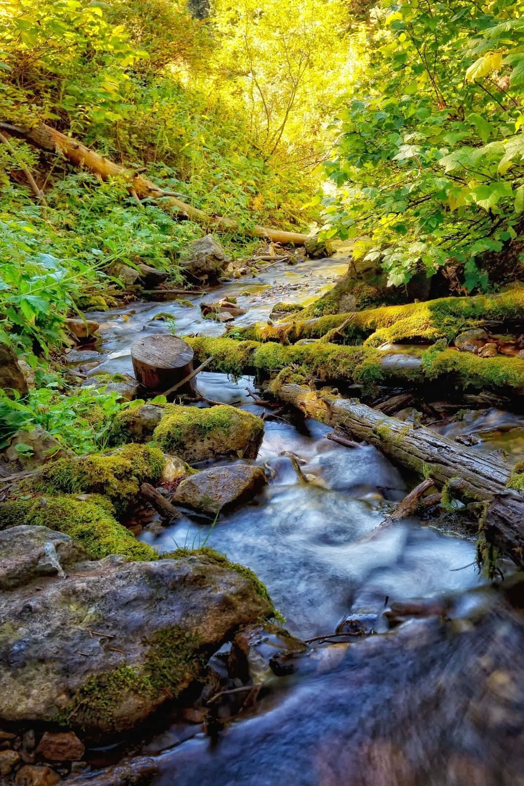 Small Creek For Android Nature Wallpaper