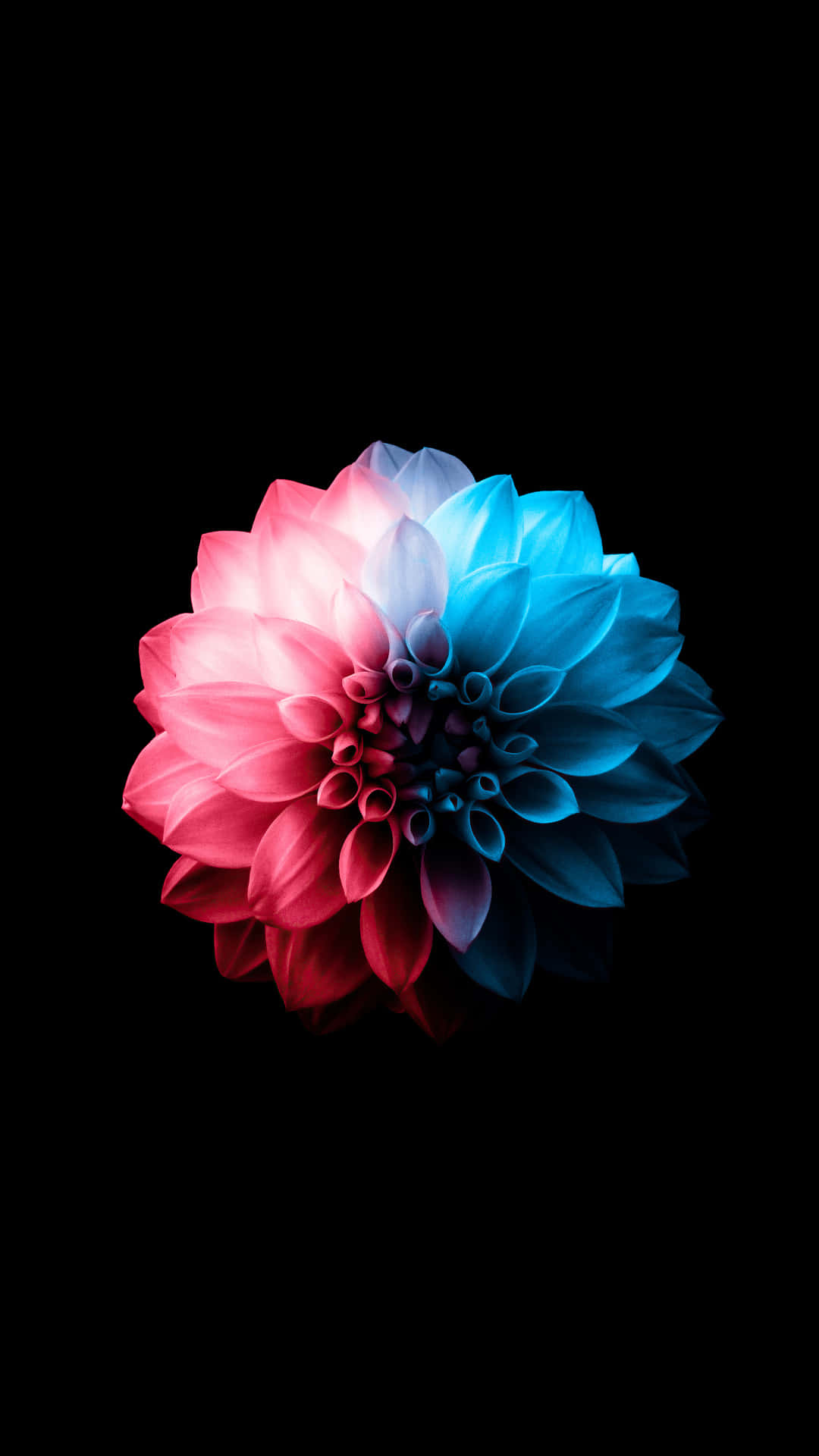 Bright and Bold Android OLED Wallpaper