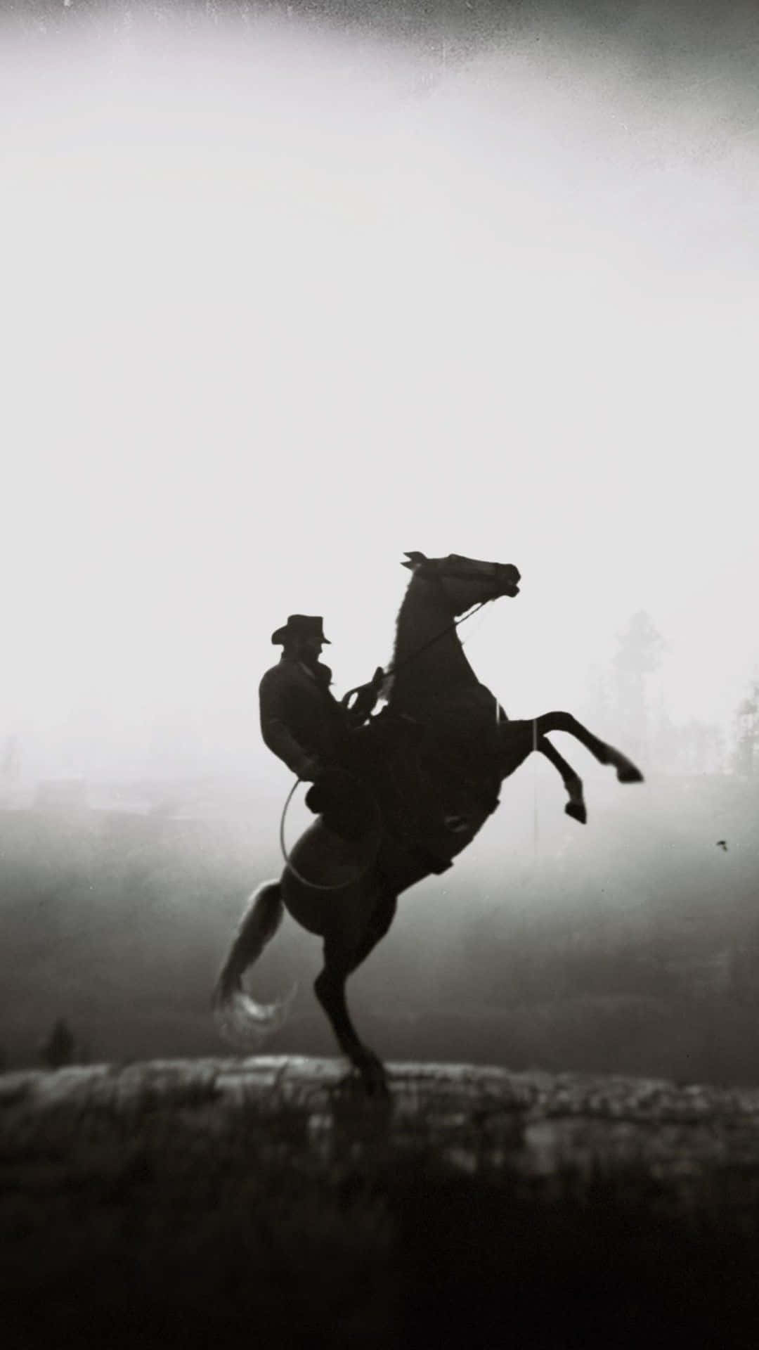Einmann Reitet Auf Einem Pferd Im Nebel.