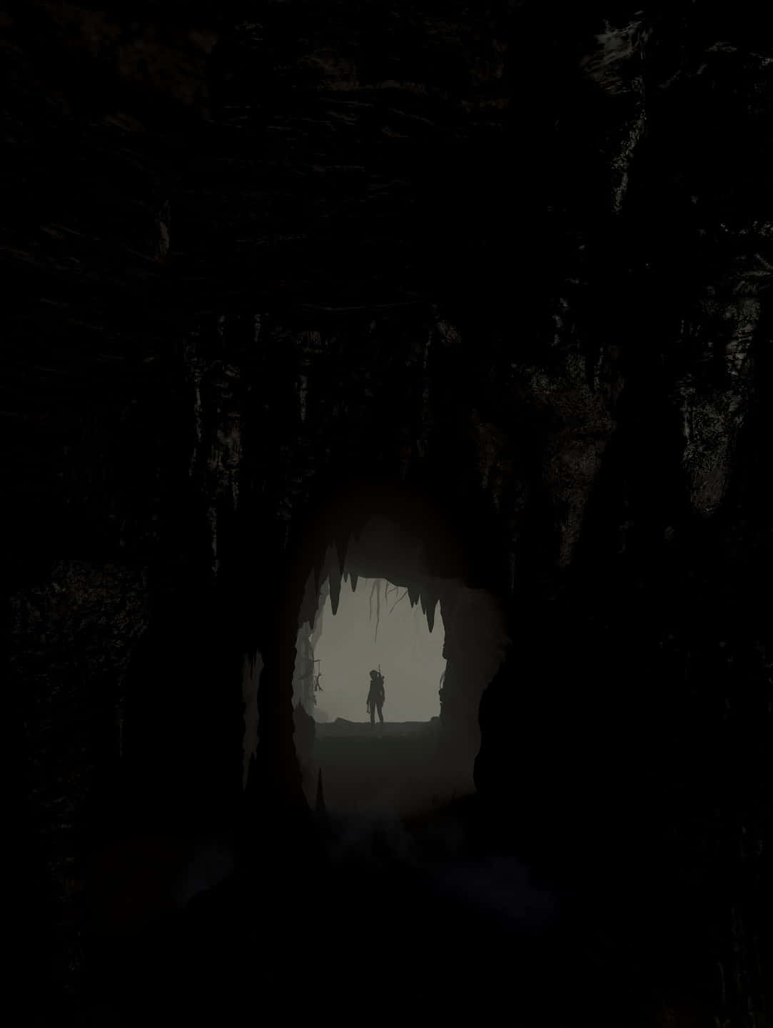 Androidbakgrundsbild För Rise Of The Tomb Raider Med Grottan Som Tema.