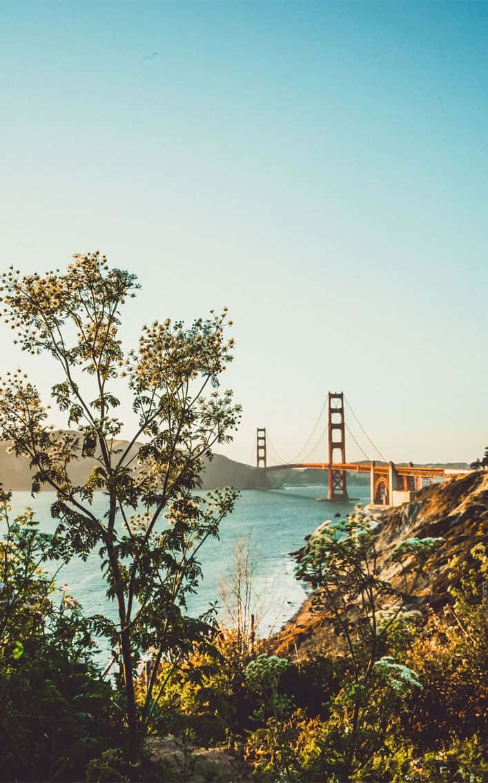 Android San Francisco Background Golden Gate Bridge Background