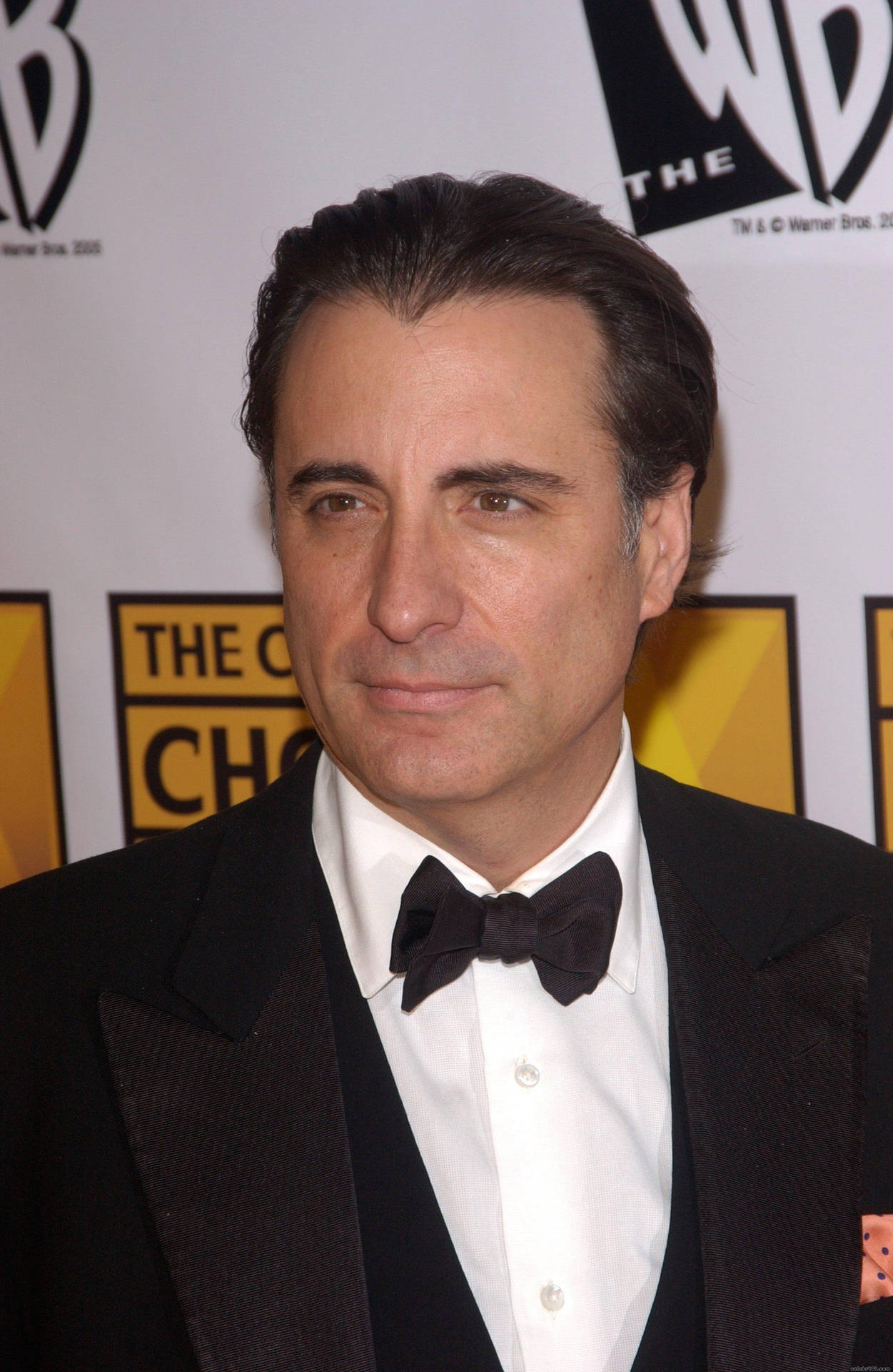 Andy Garcia In Fashionable Tuxedo Picture