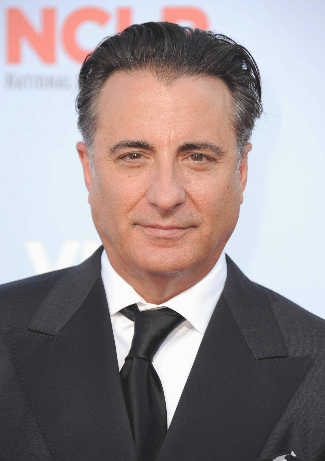 Andy Garcia Wearing Stylish Suit Wallpaper
