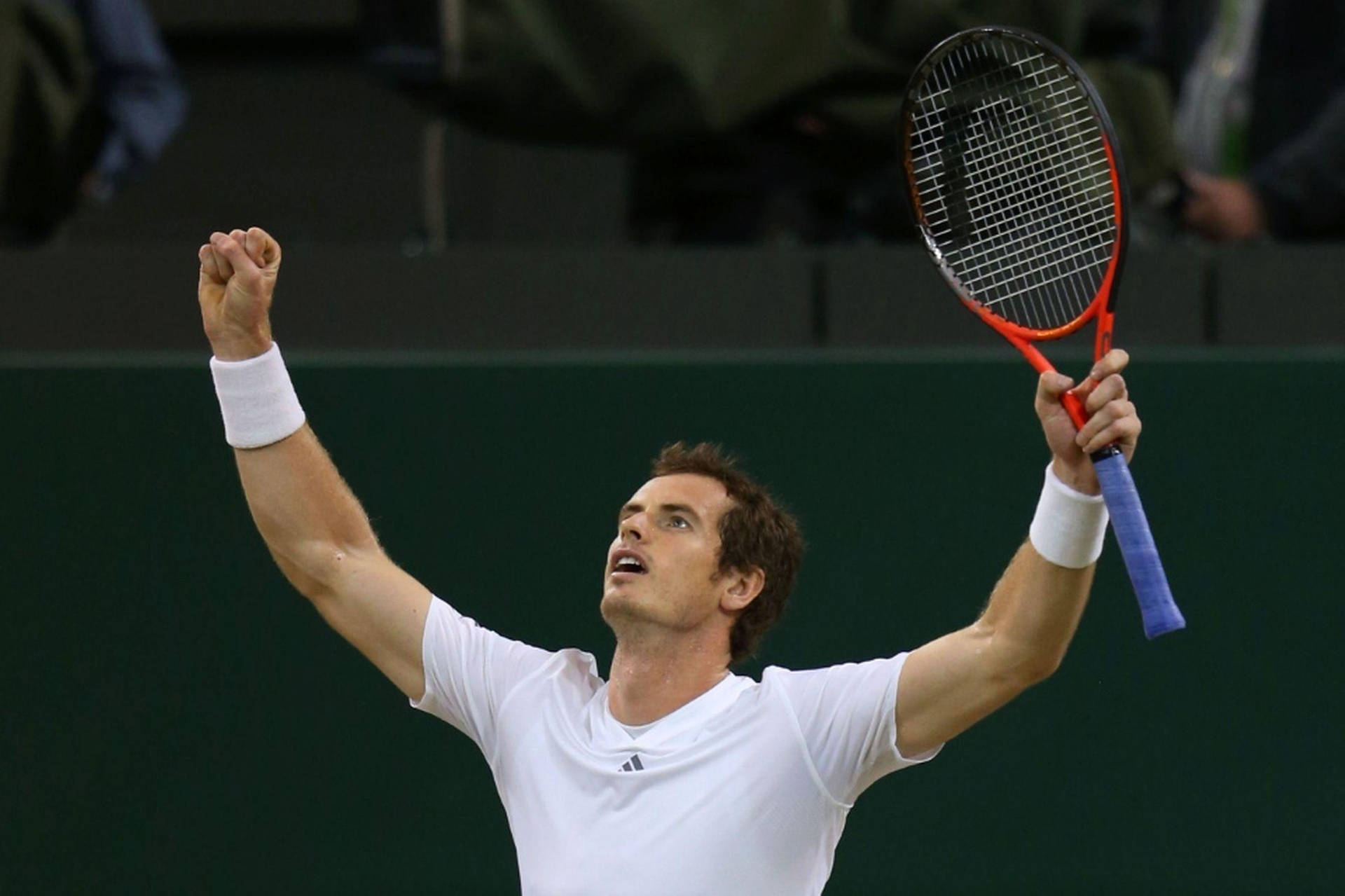Andy Murray Arms Raised Wallpaper