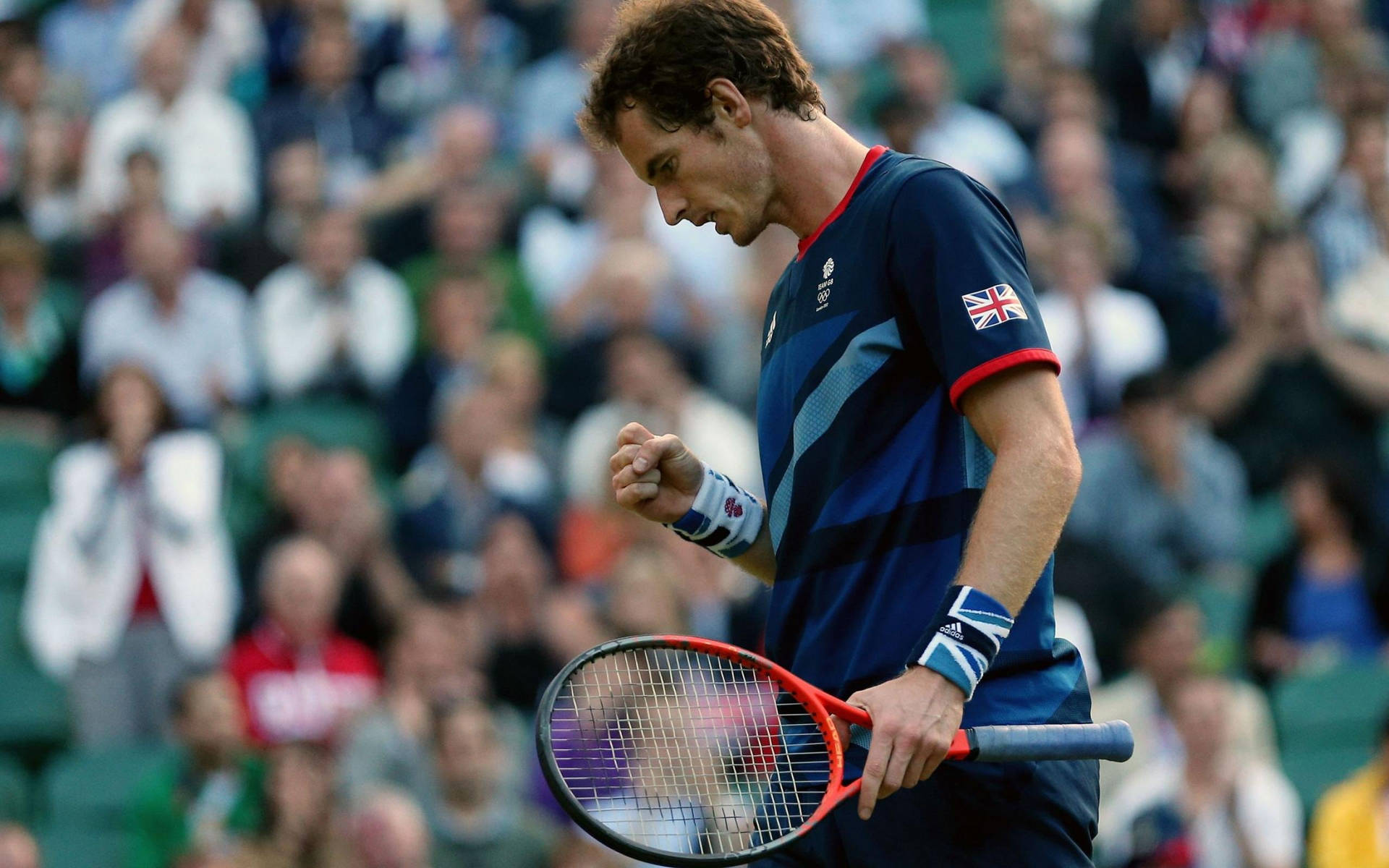 Andy Murray kigger ned Wallpaper