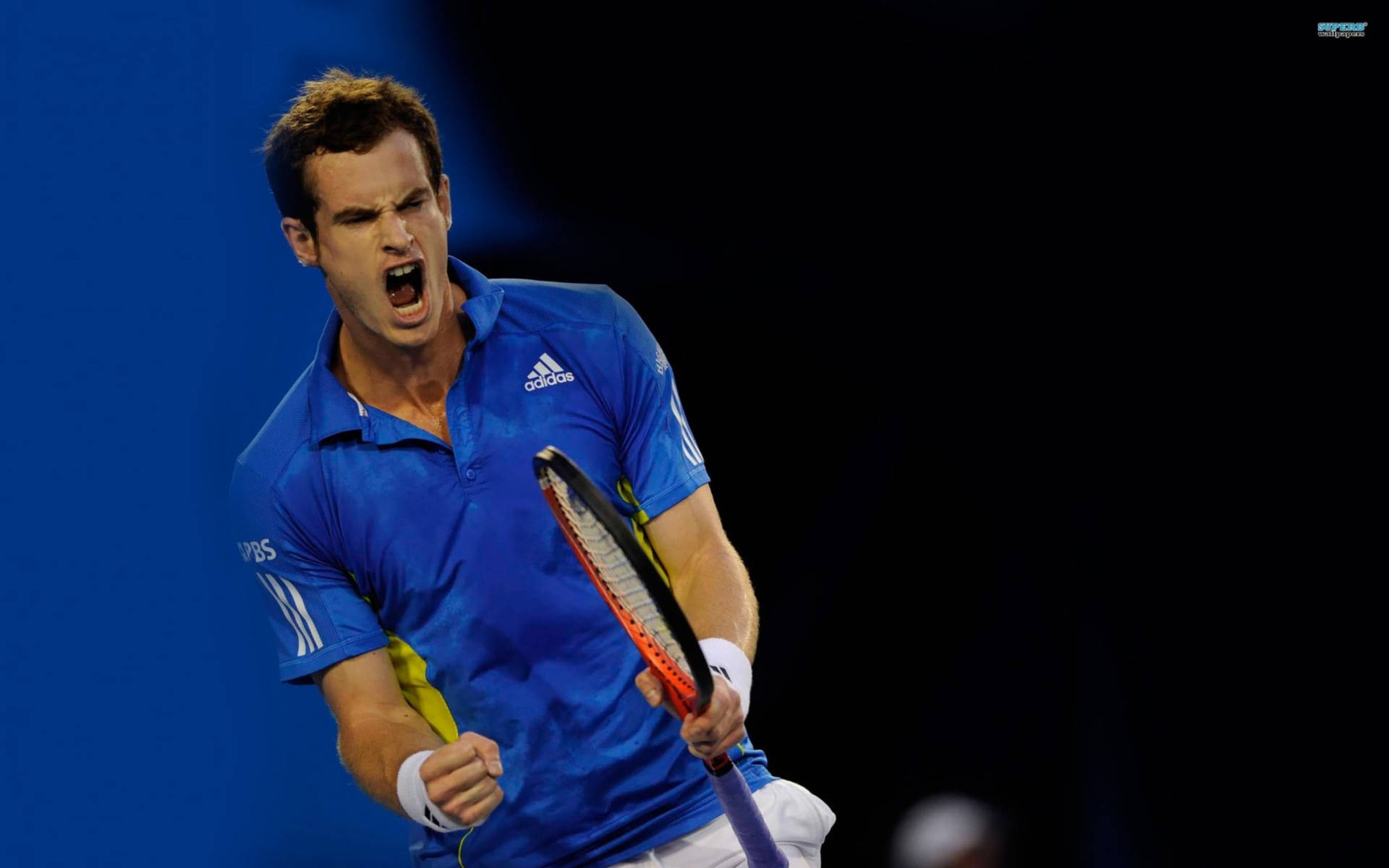 Andy Murray On The Move In A Challenging Tennis Match. Wallpaper