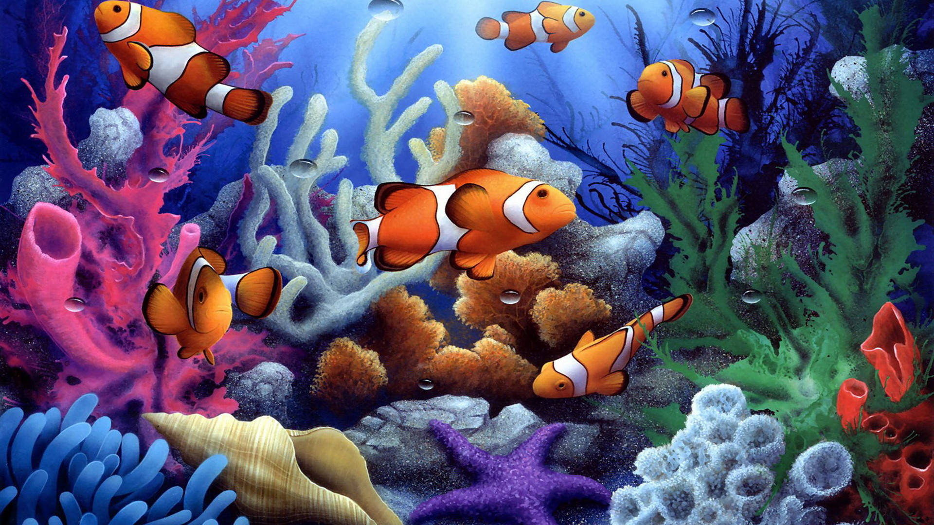 Anemone Sea Corals Art Wallpaper