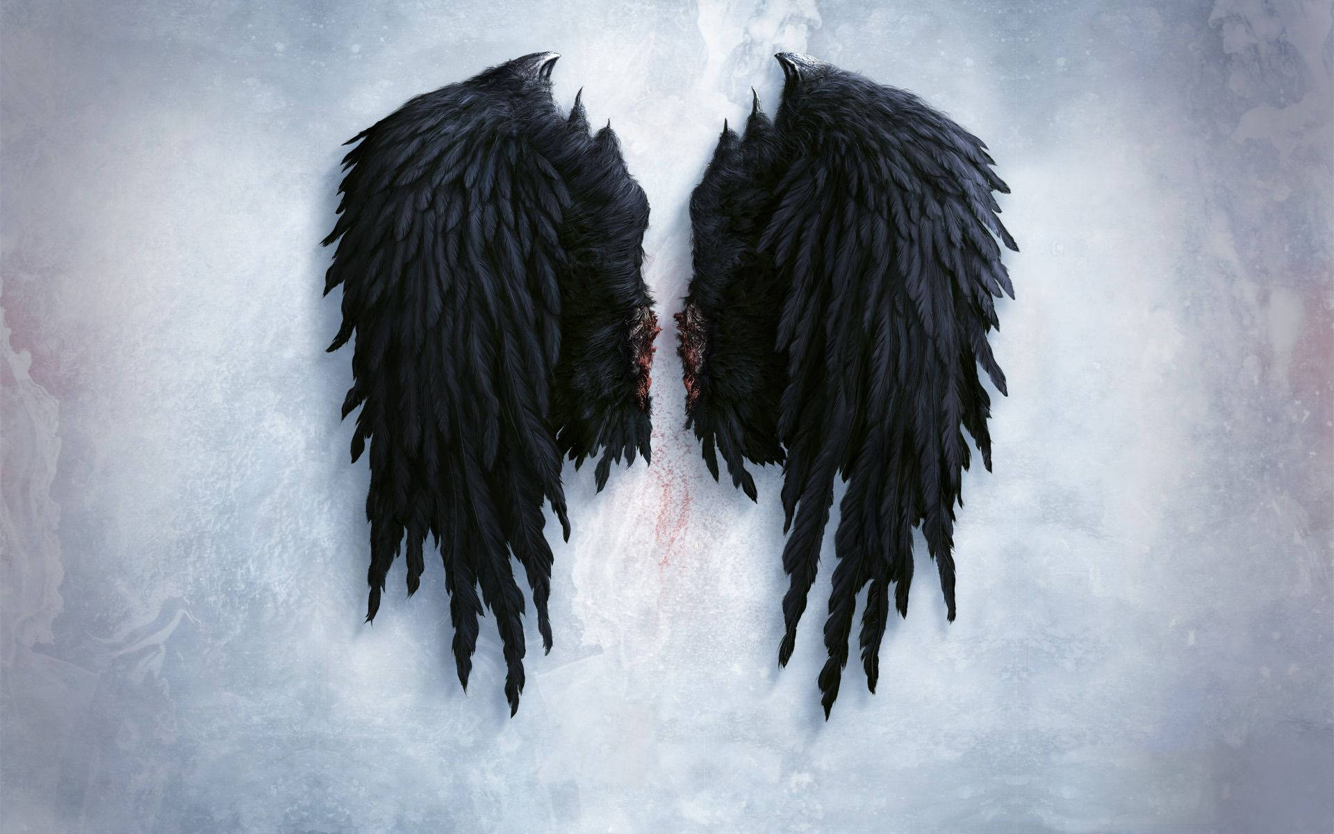 Angel Black Wings Picture