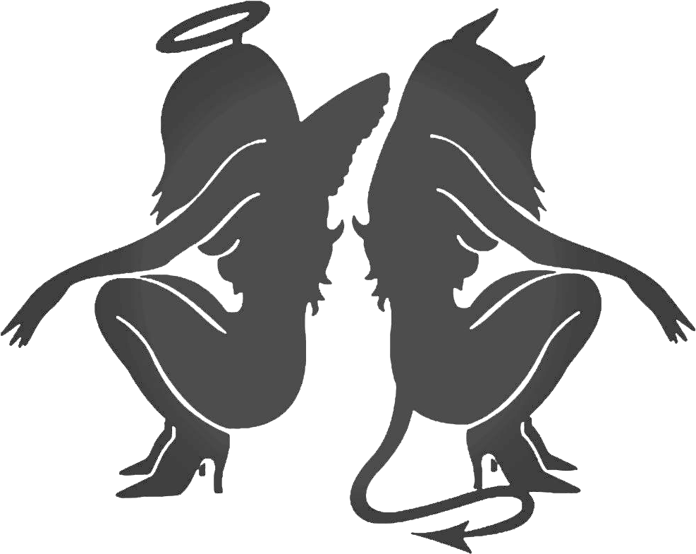 Angel Demon Reflection Silhouette PNG