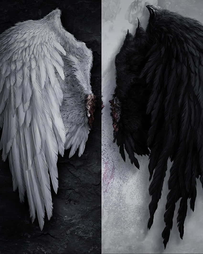 Angel Demon Wings Duality Wallpaper