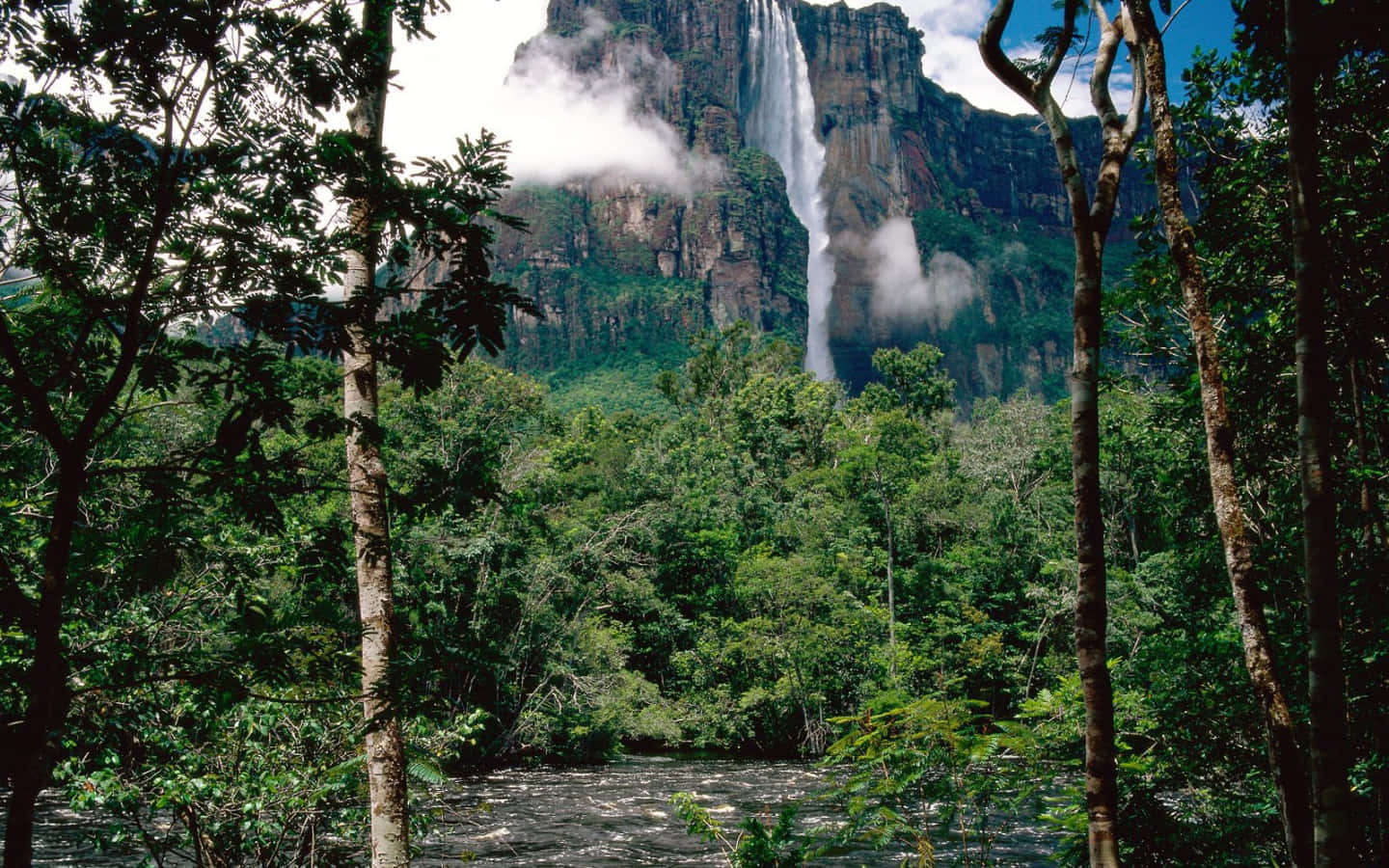 Angel Falls Shot From Forest Grounds Wallpaper