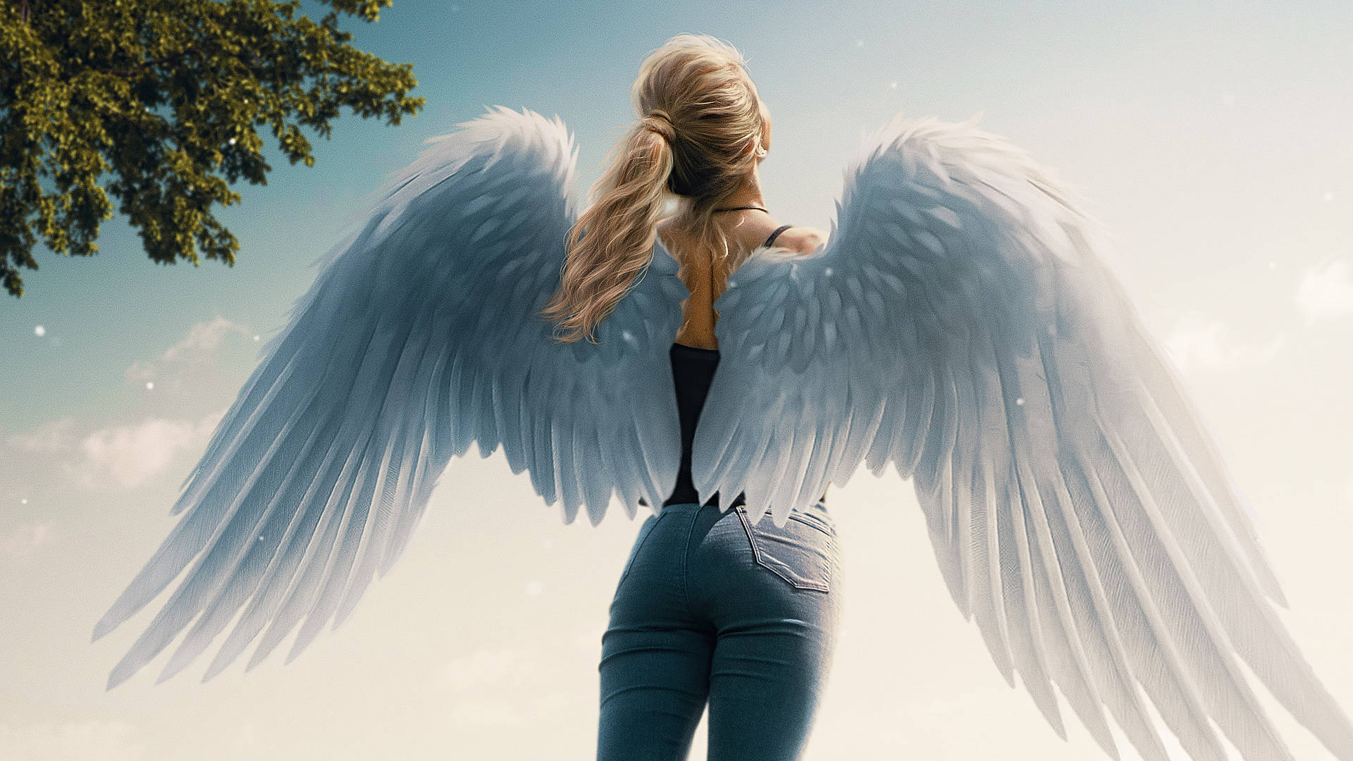 Angel Girl With White Wings Picture