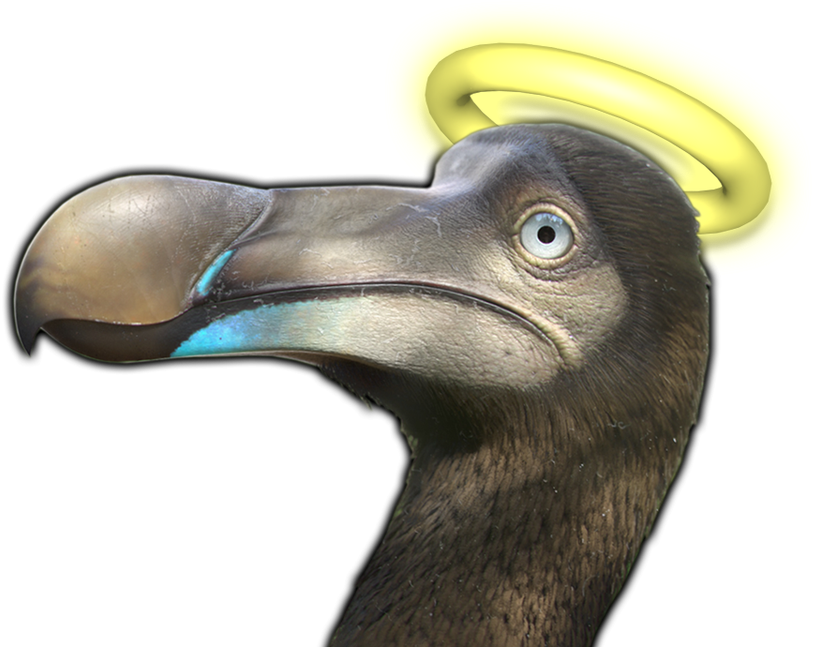 Angel Halo Dodo Bird PNG