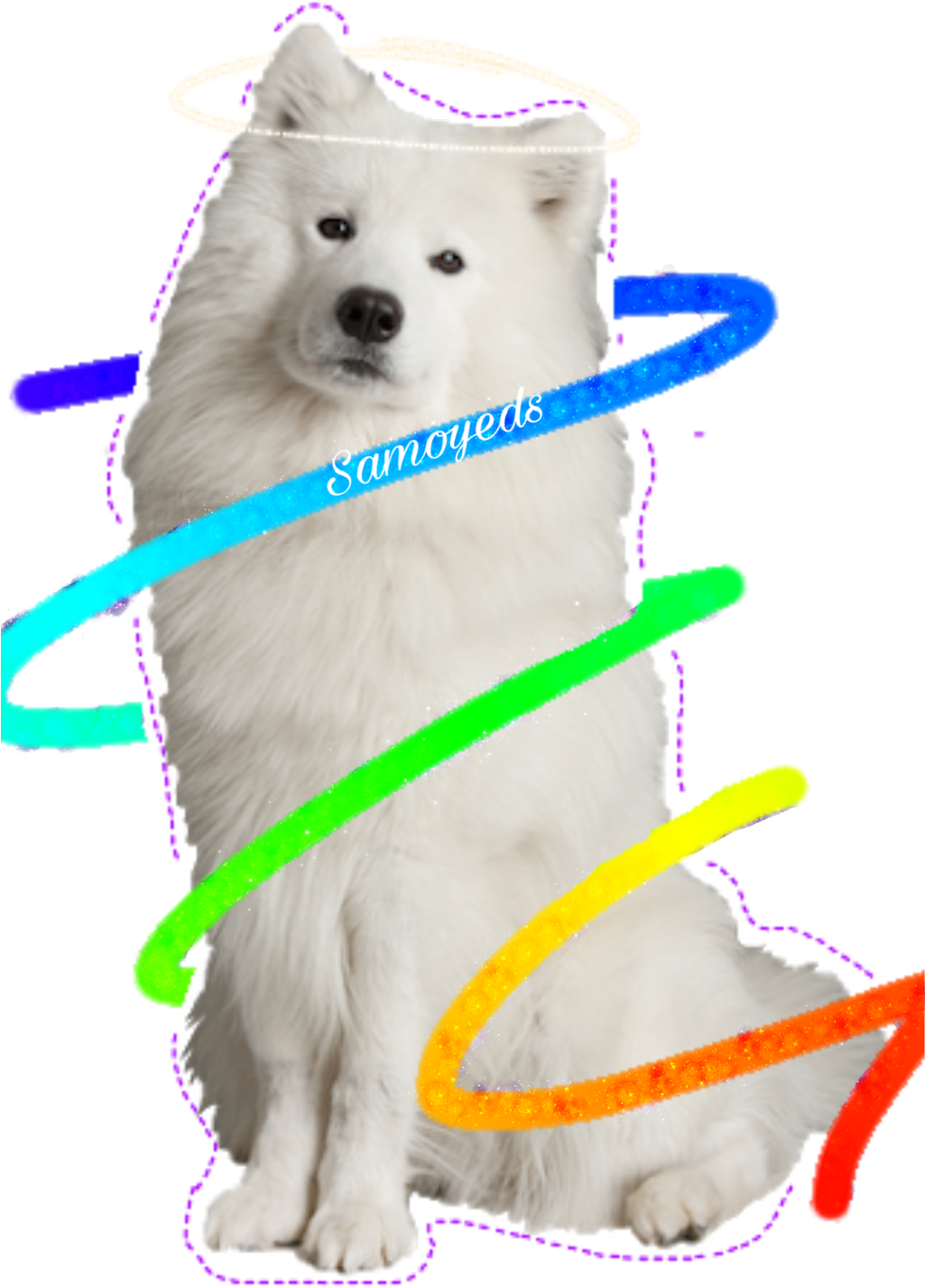 Angel Halo Samoyed Dog Surrounded By Colorful Rings PNG