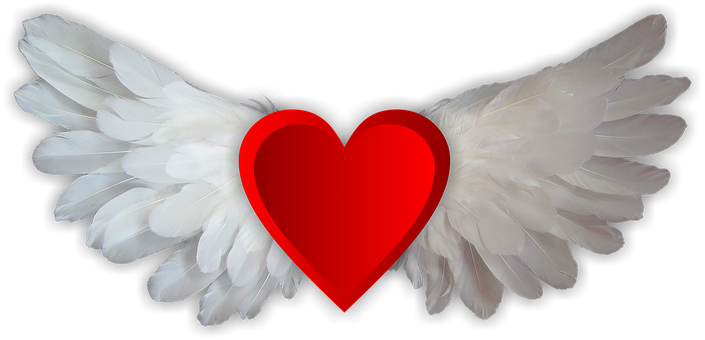 Angel Heart Wings Love PNG