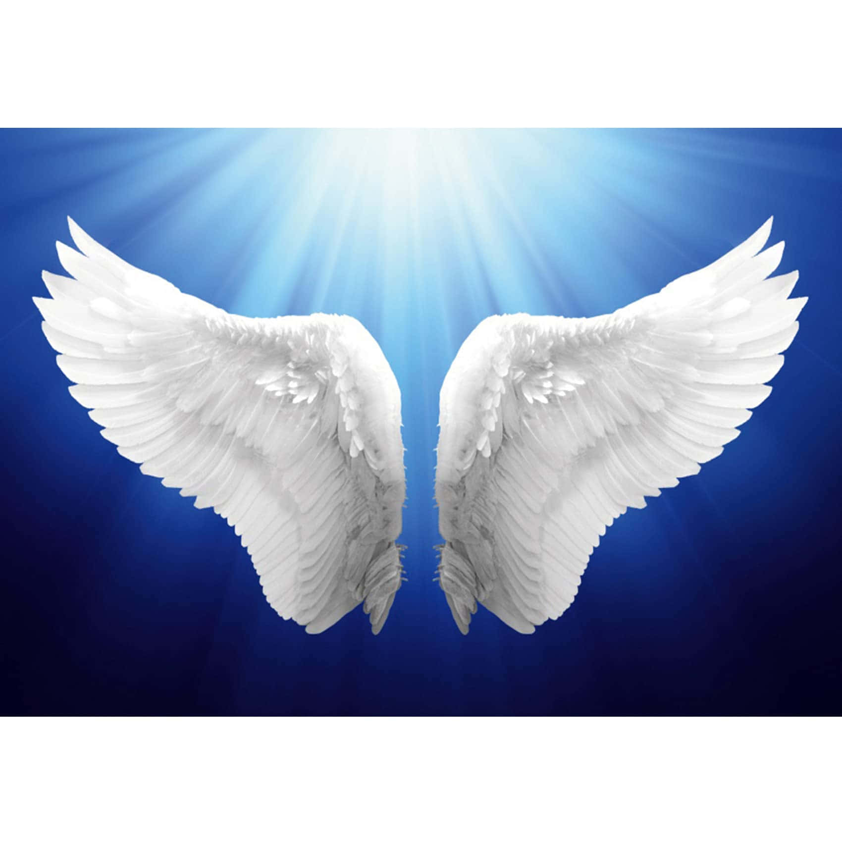 White Wings Angel Heaven Background