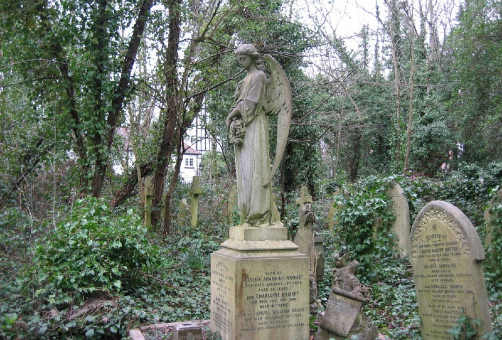 Engel statue blandt en kirkegård Wallpaper