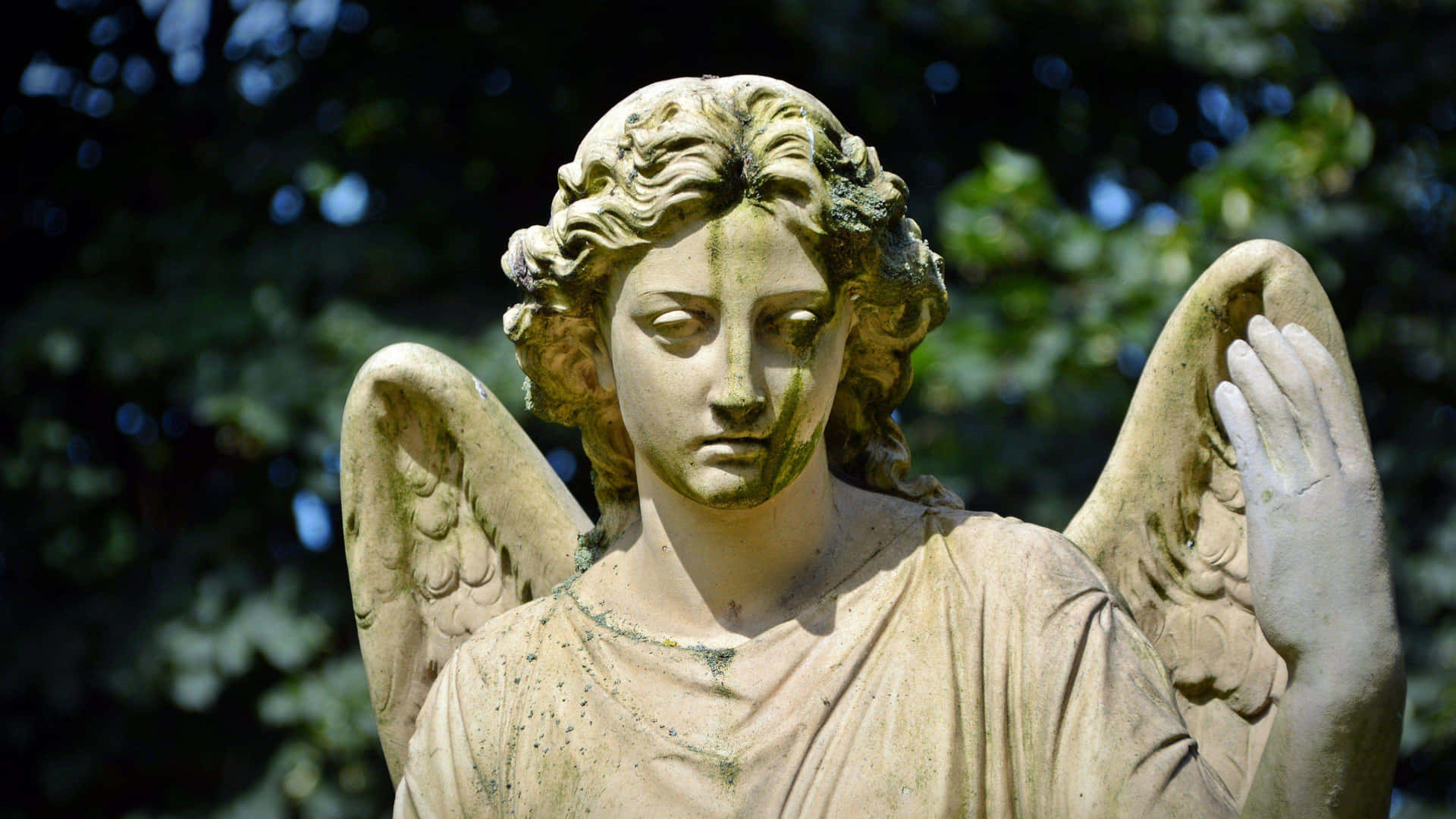Angel Statue Serene Gaze Wallpaper