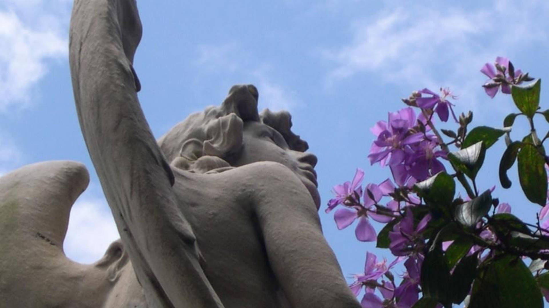 Estátuade Anjo Cheirando Flores. Papel de Parede