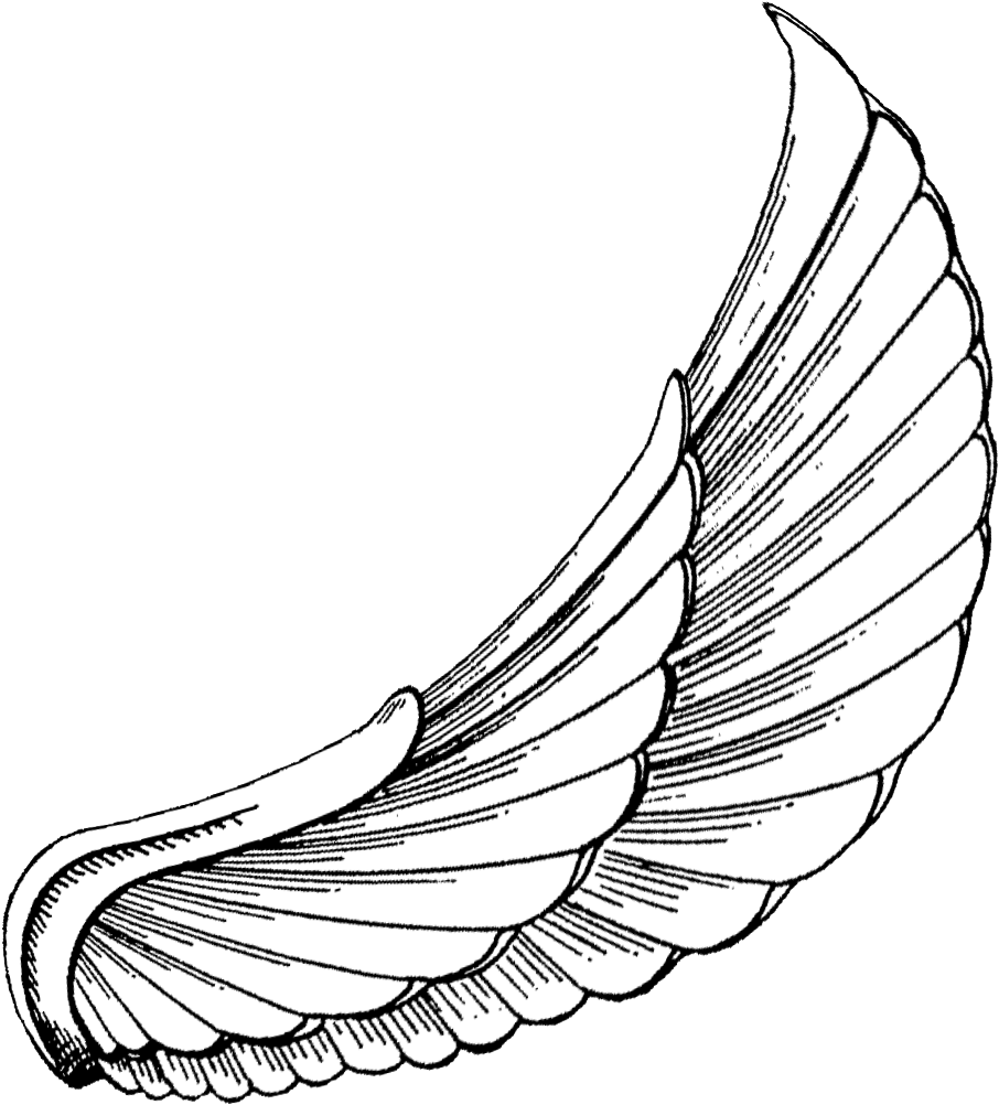 Angel Wing Tattoo Design PNG