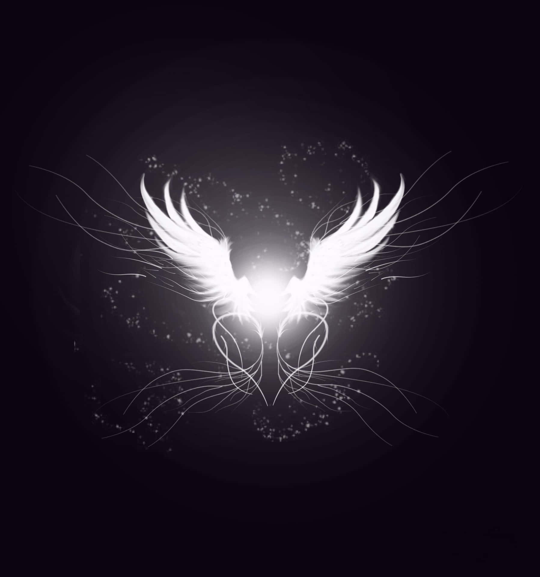 angel wings on a black background