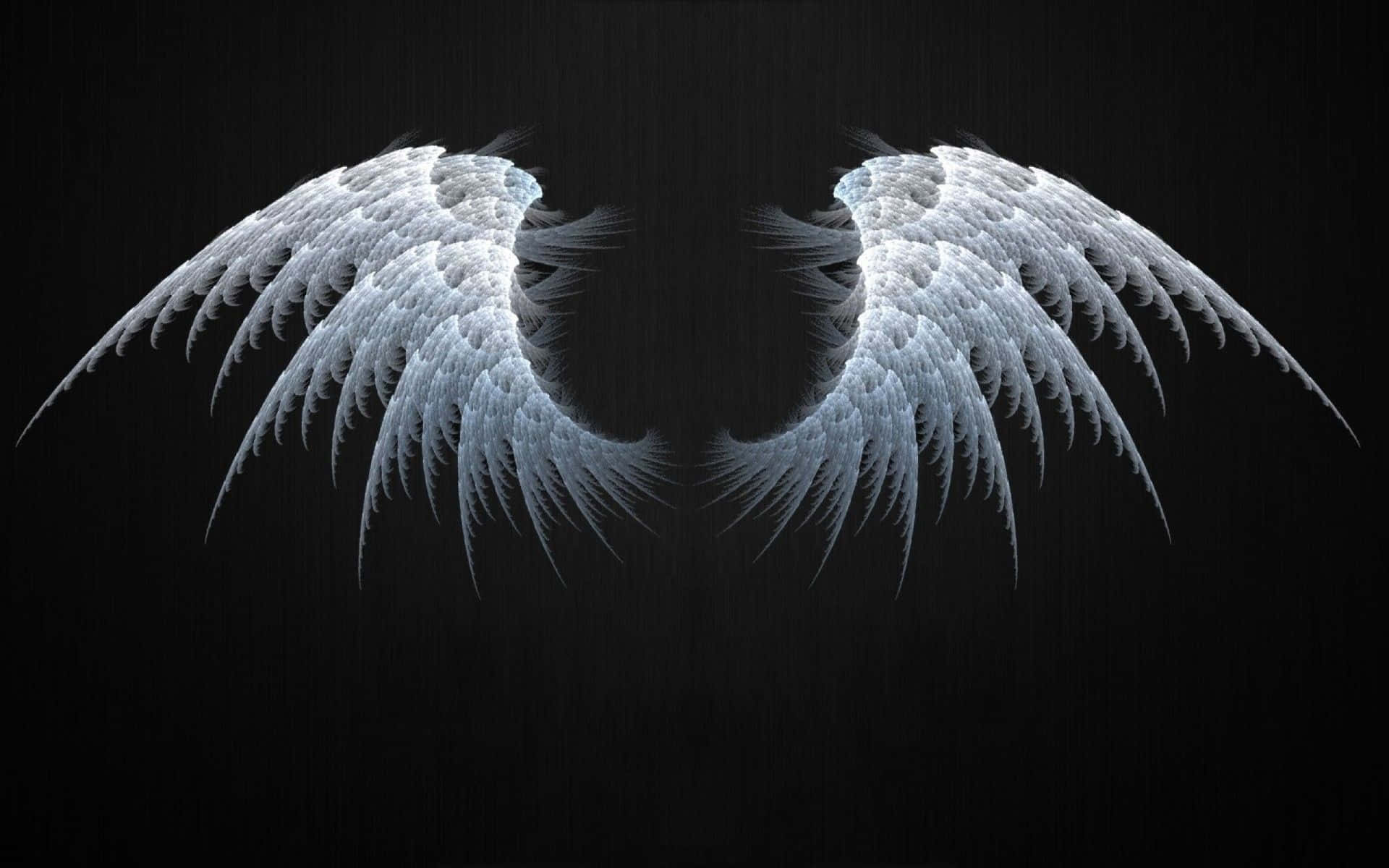 Angel Wings Baggrund 1920 X 1200