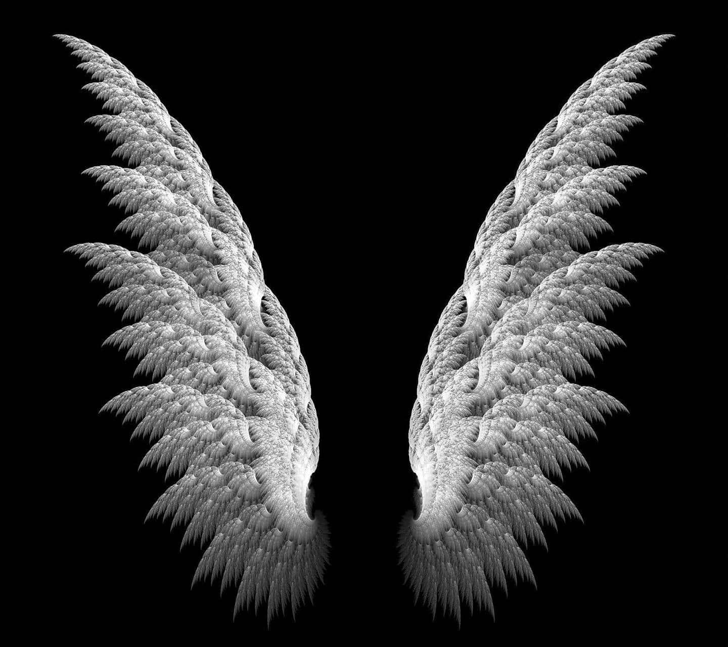 two angel wings on a black background