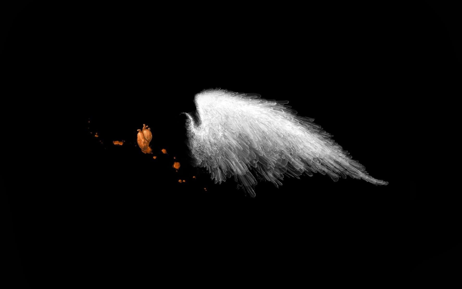 an angel wing with a black background