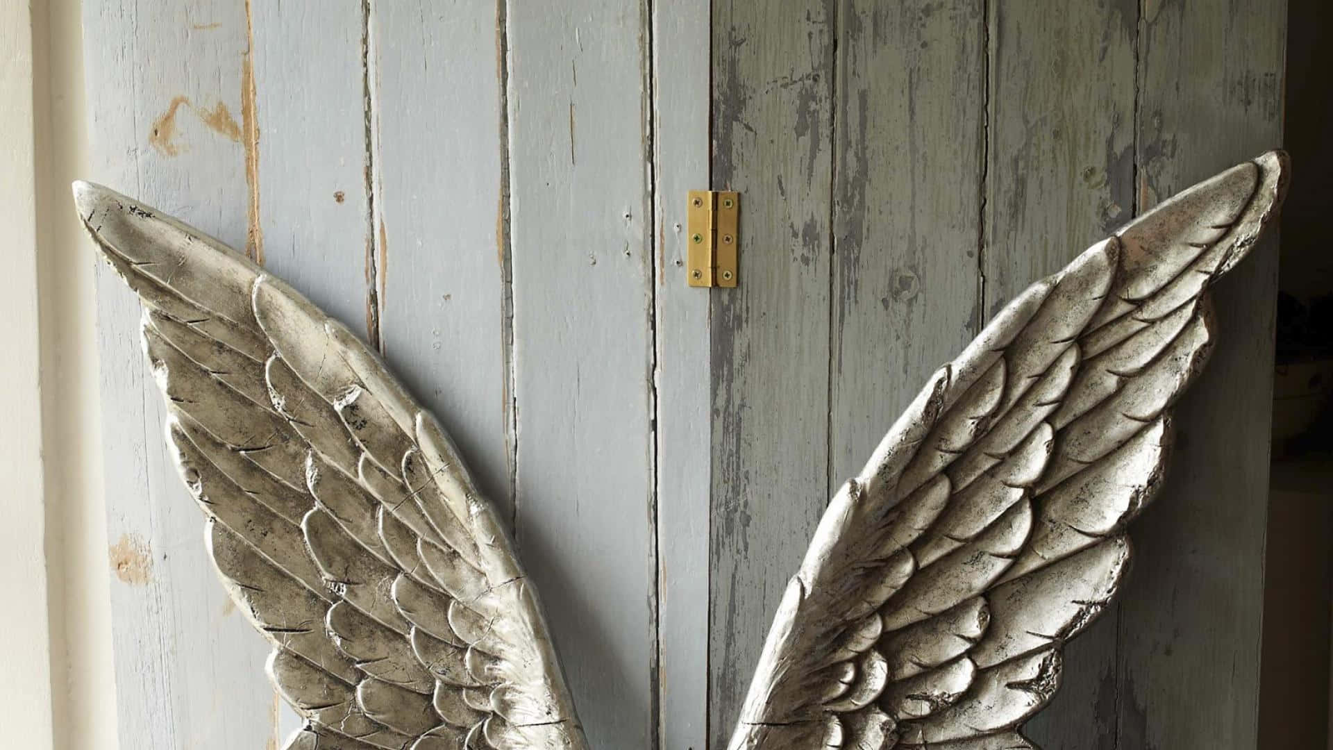 angel wings on a wooden door