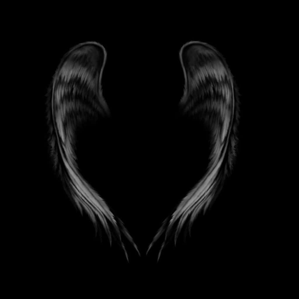 black and white angel wings on a black background
