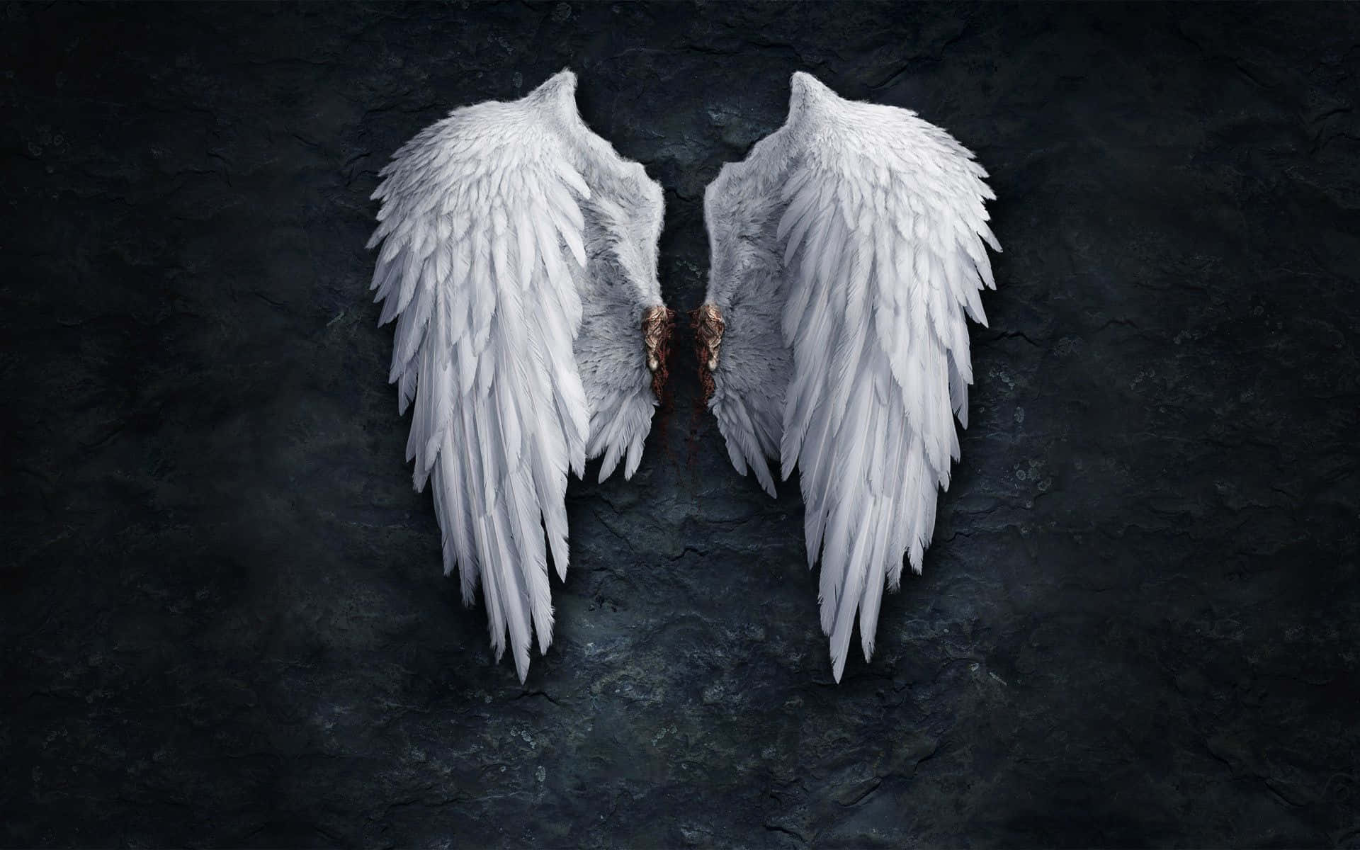 angel wings - wallpaper