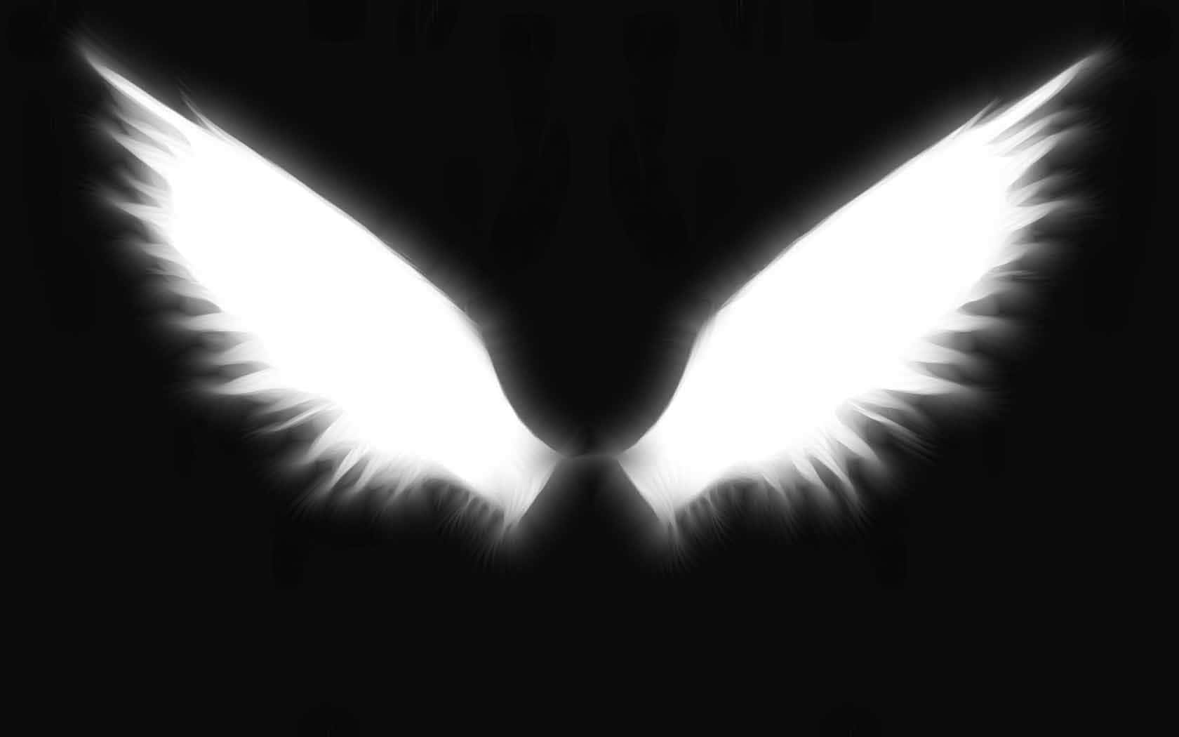 a white angel wings on a black background