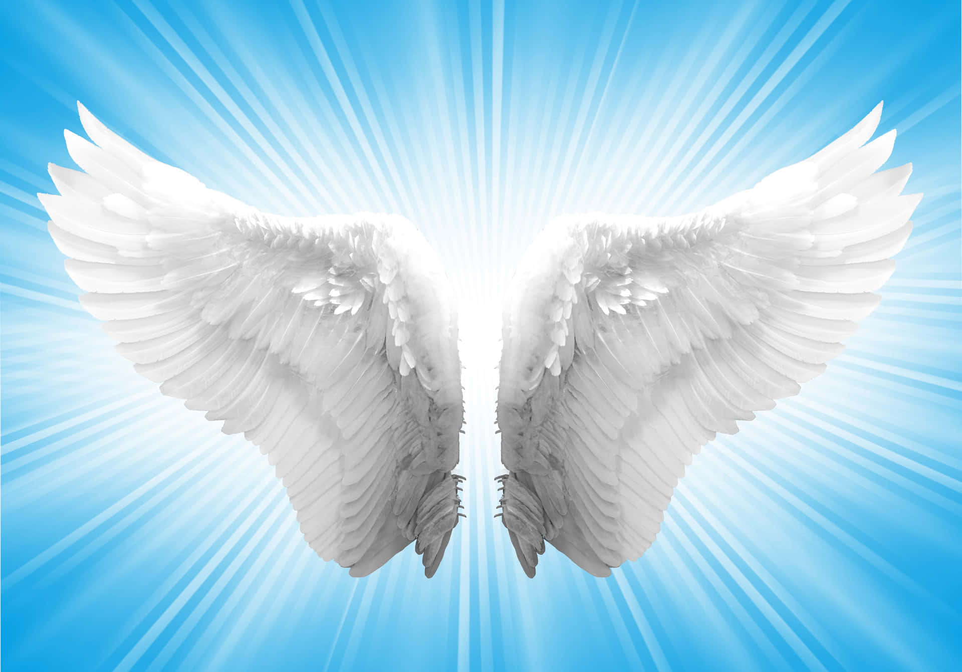 Majestic Angel Wings Background