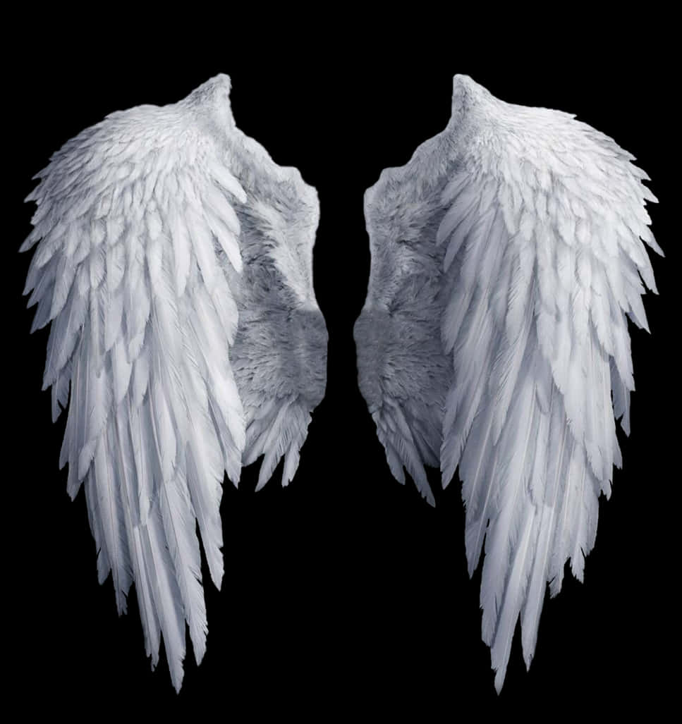 Angel Wings Black Background PNG