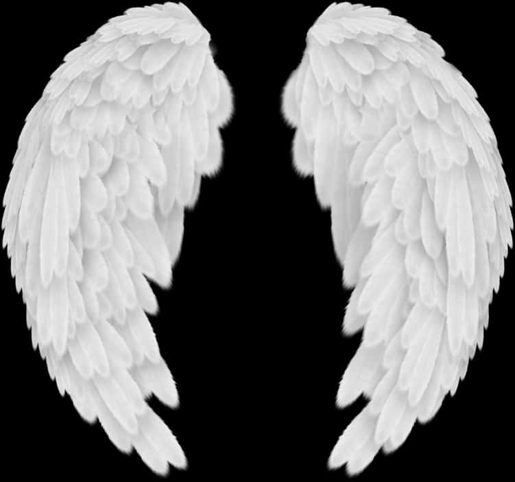 Angel Wings Black Background PNG