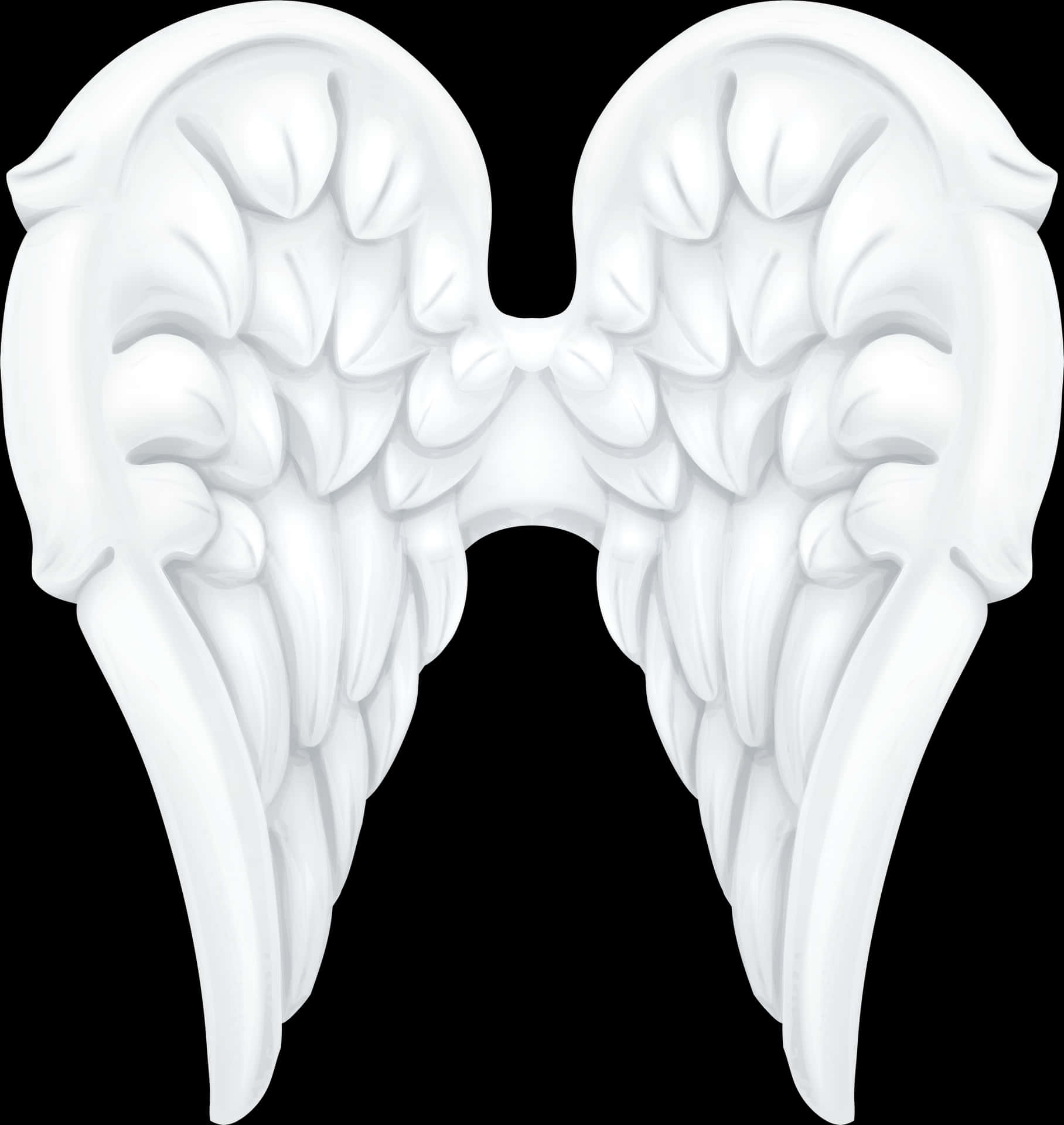 Angel Wings Graphic Art PNG