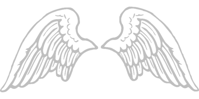 Angel Wings Graphic Black Background PNG