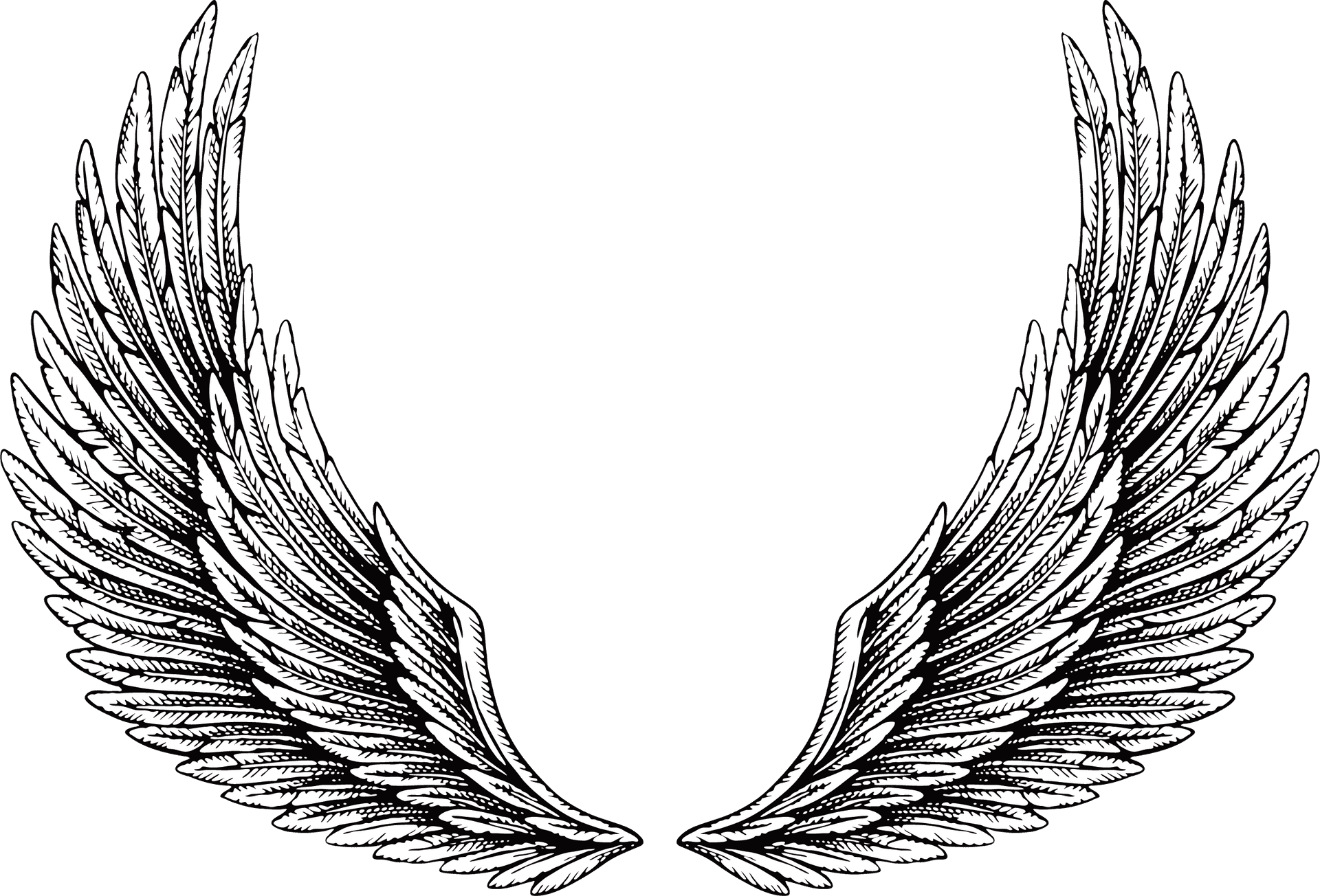 Angel Wings Illustration PNG