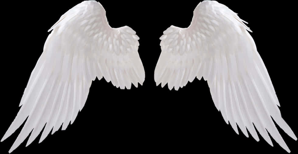 Angel Wings Isolatedon Black Background PNG